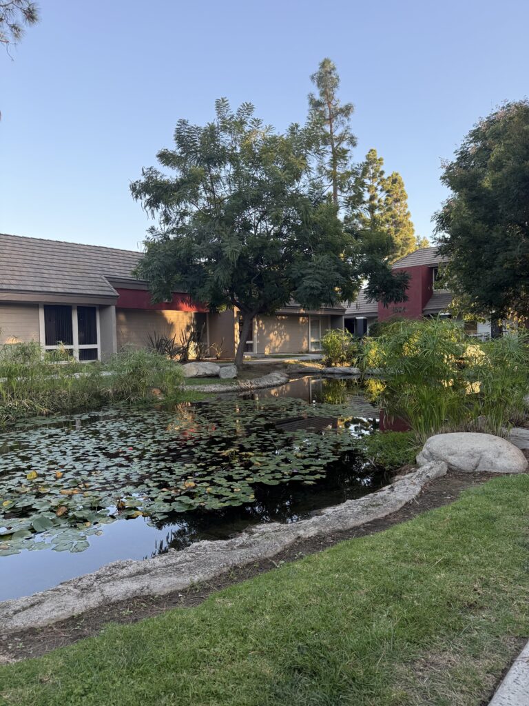 brookhollow outside lake